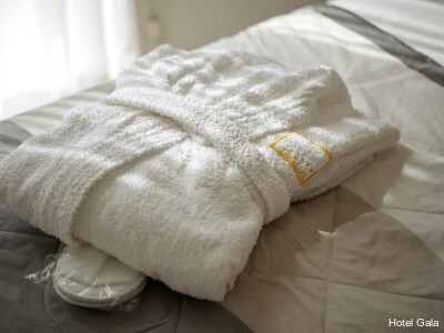 Фото Hotel Gala