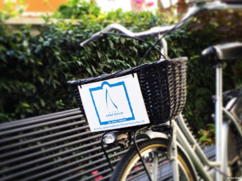 Фото Aurea Hotel Tortoreto Lido