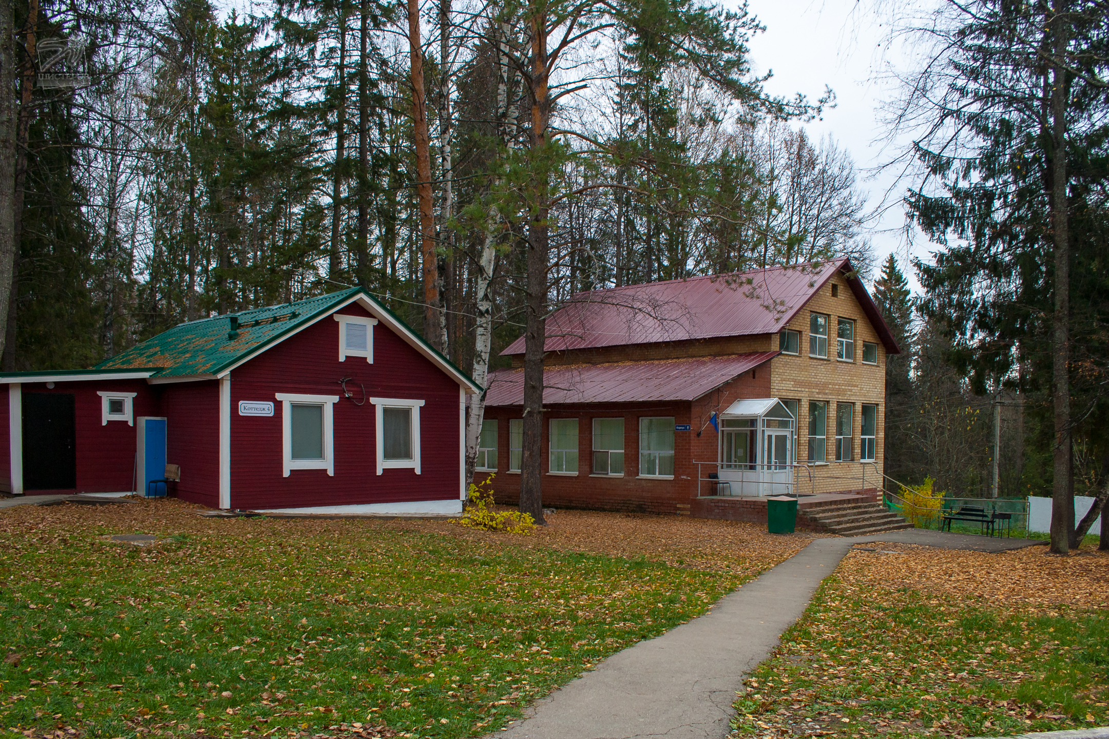 Фото Сосновый бор