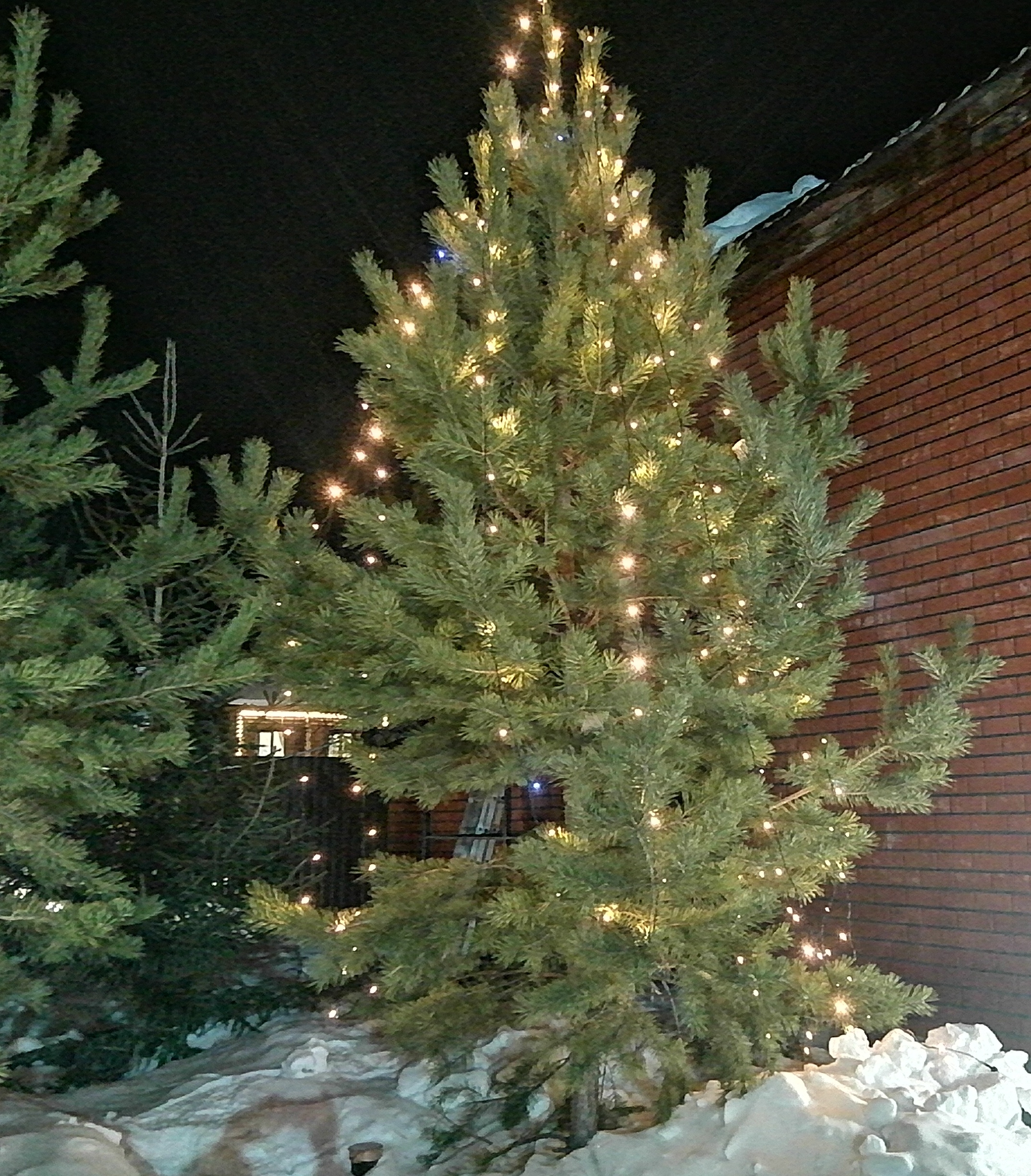 Фото Дарина