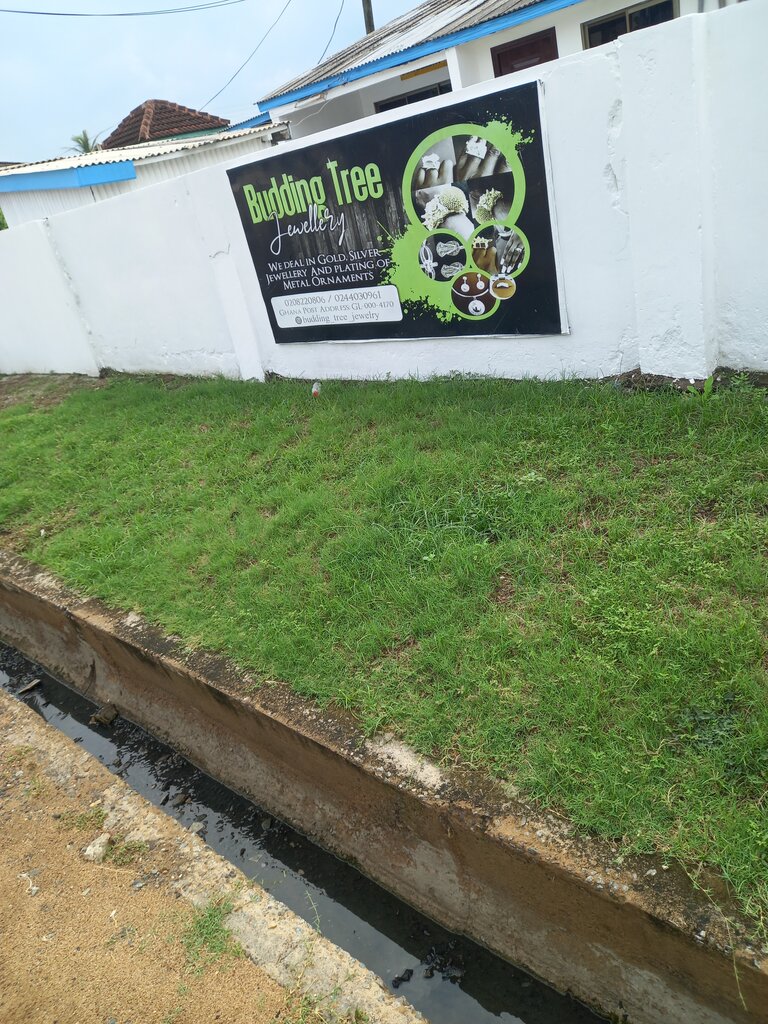 Jewelry store Budding tree, Earth, photo