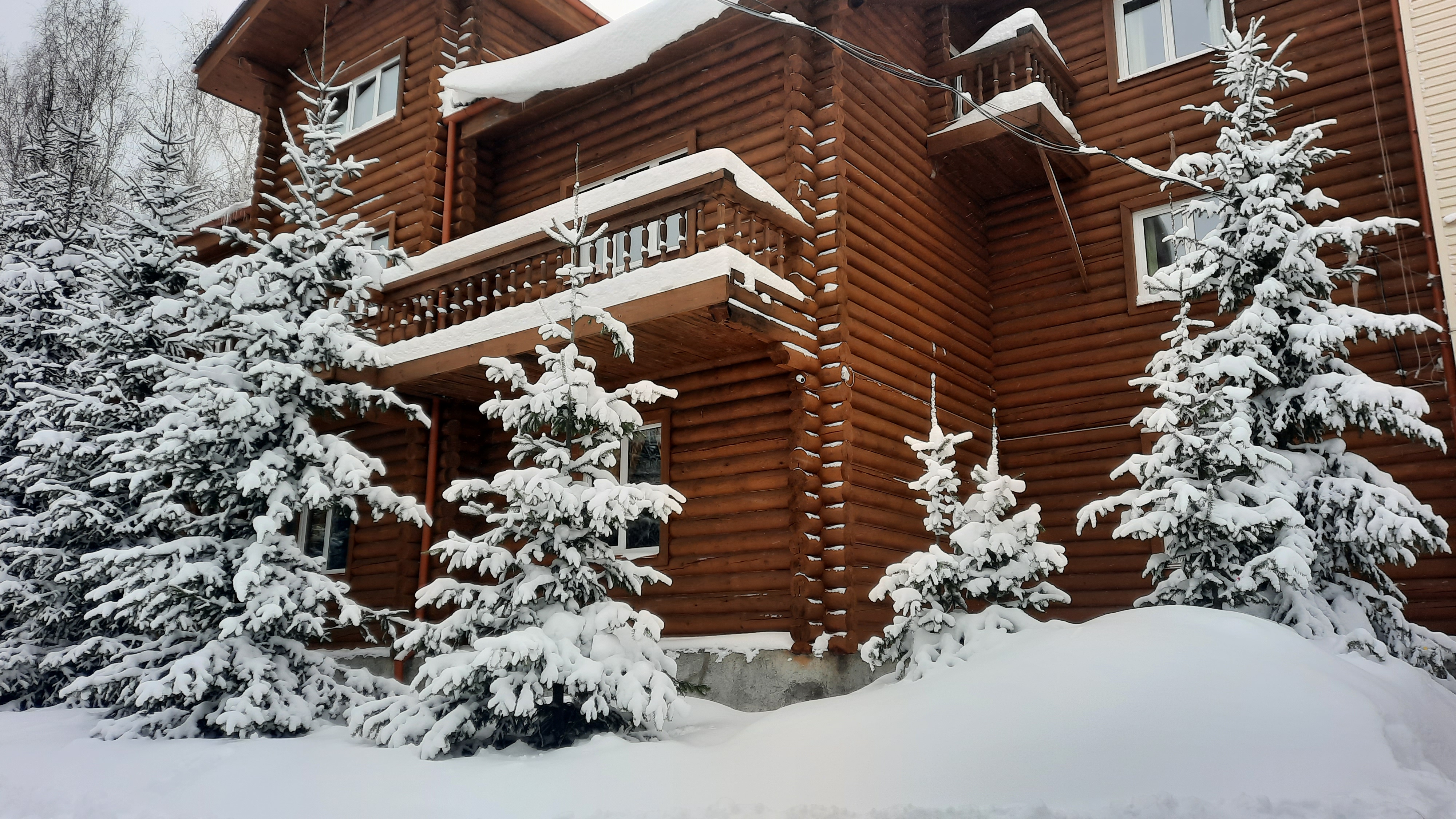 Фото Зелёный дом