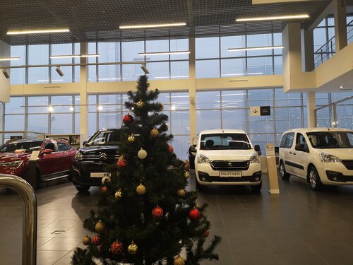 Car dealership Petrovskiy, Moscow, photo