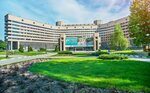Травматолог-ортопед Рудель Н. М. (Village of Otradnoye, вл2с1А), private experts