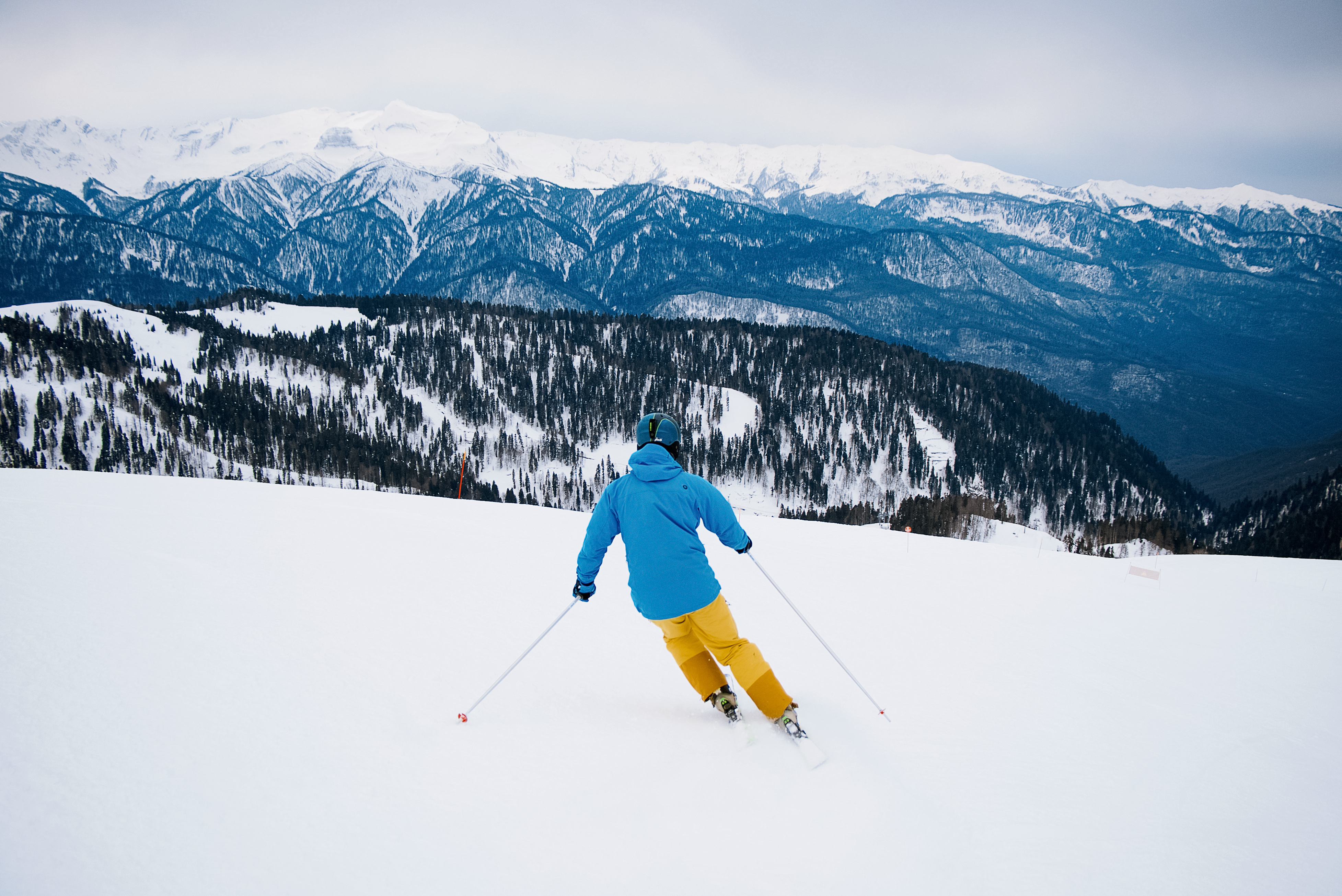 Фото Вальс цветов
