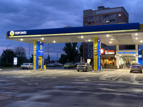 Gas station Tnk, Saratov Oblast, photo