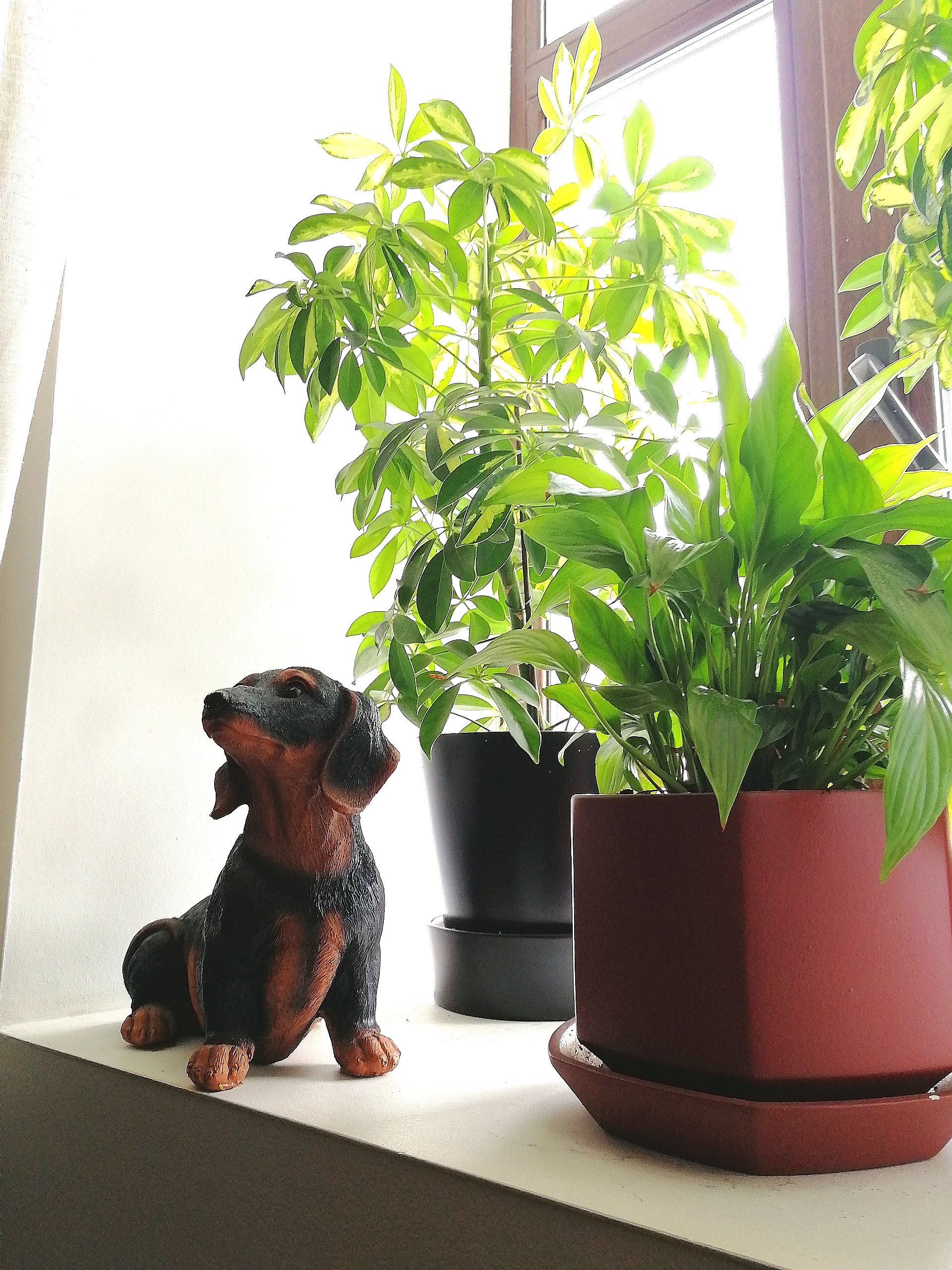 Фото Ямской посад