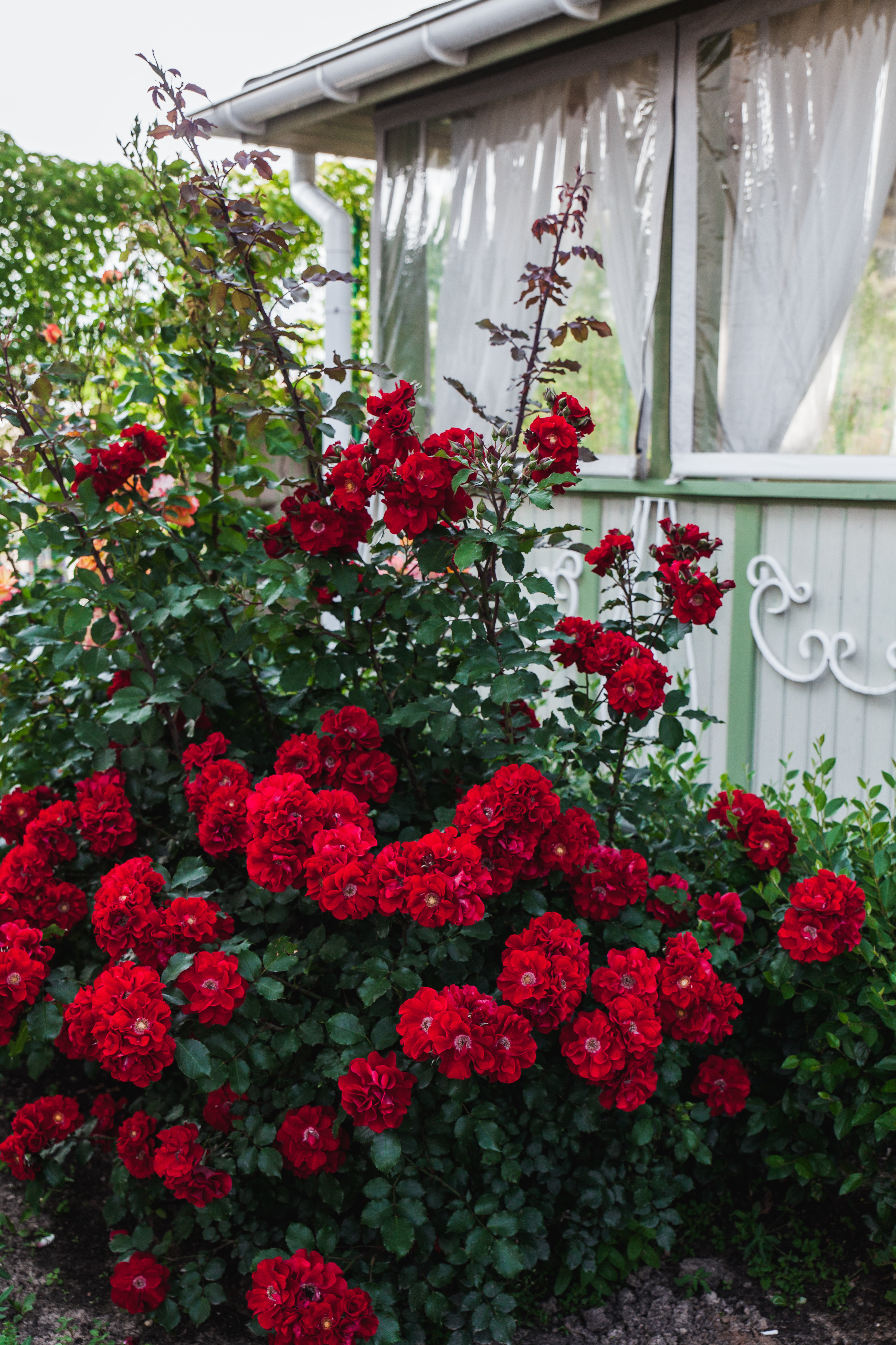 Фото Загородный клуб Ольховка