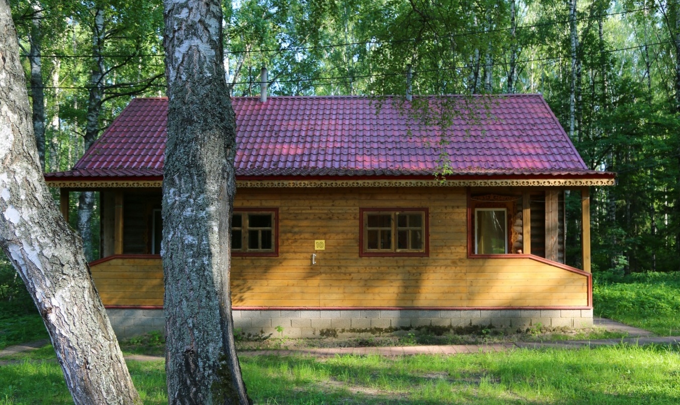 Фото Подсолнухи