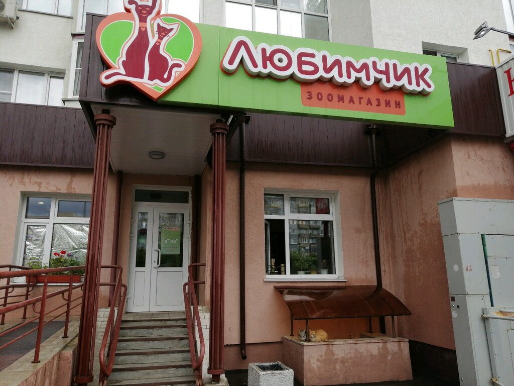 Магазин Любимчик Орск Каталог Товаров
