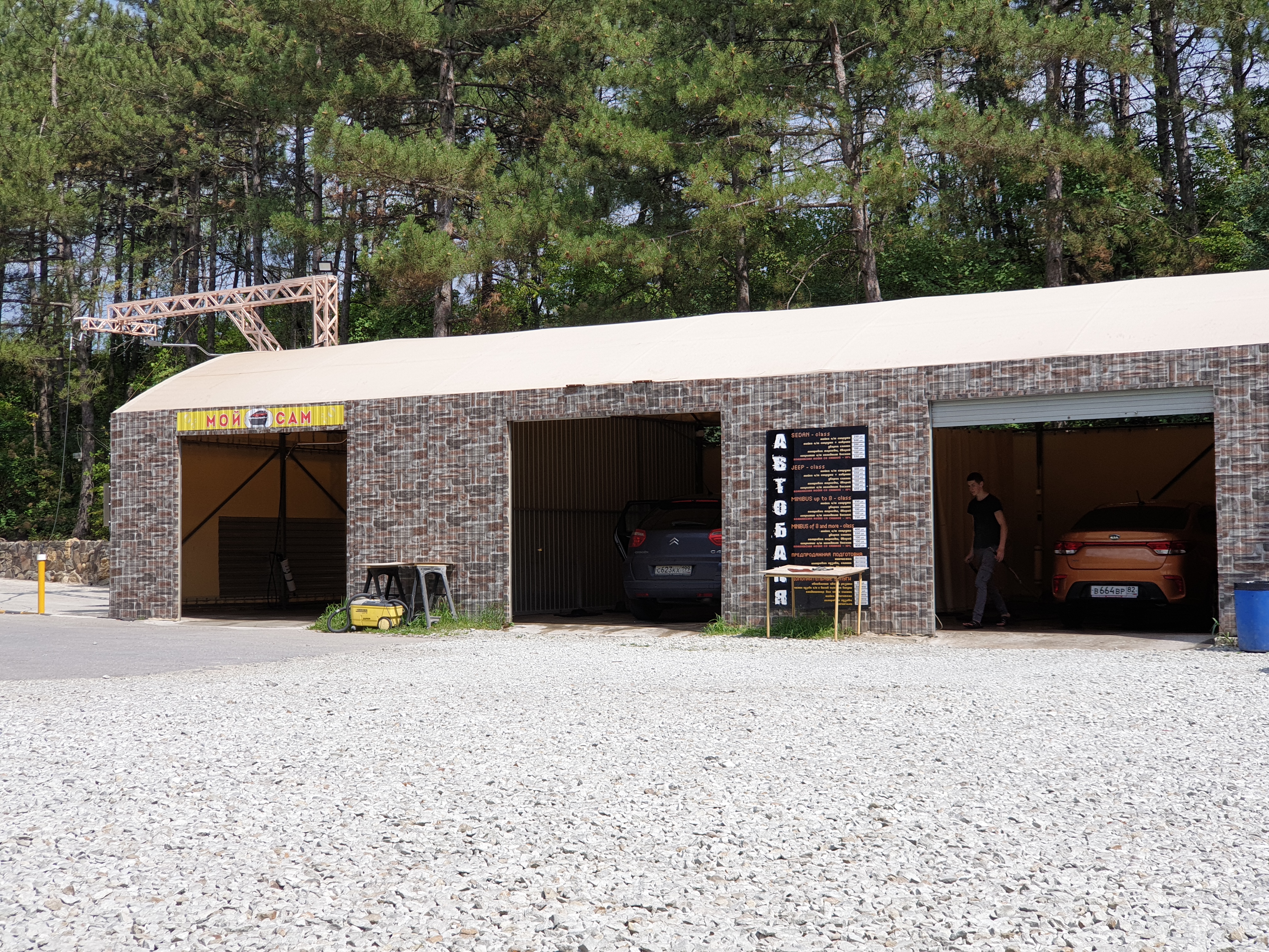 Фото Лесной