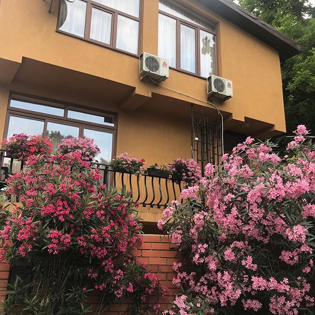 Фото Гостевой дом на Черноморской 2