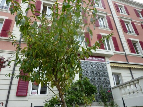 Внешний вид отеля Hotel du Marche в Лозанне, фото 4