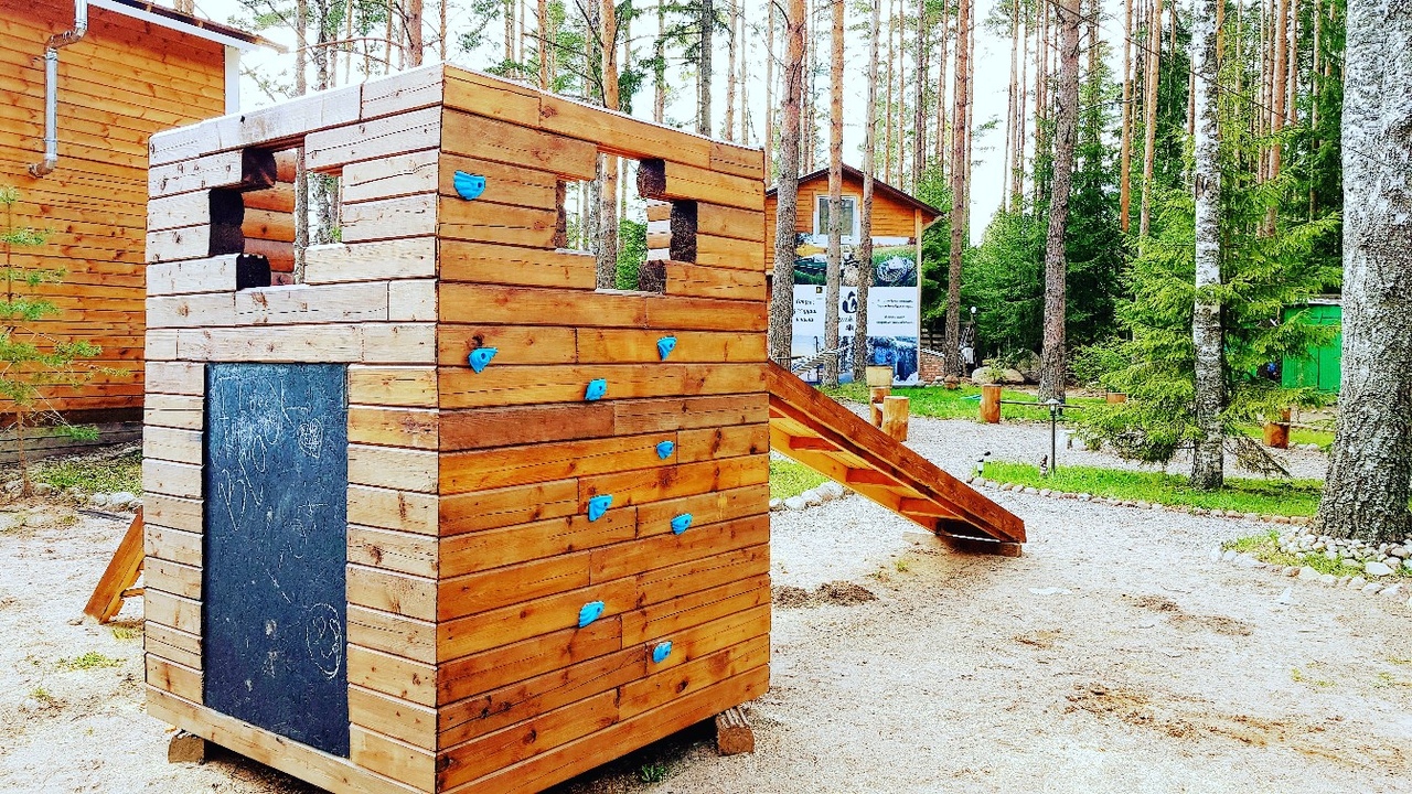 Фото Черная лиса