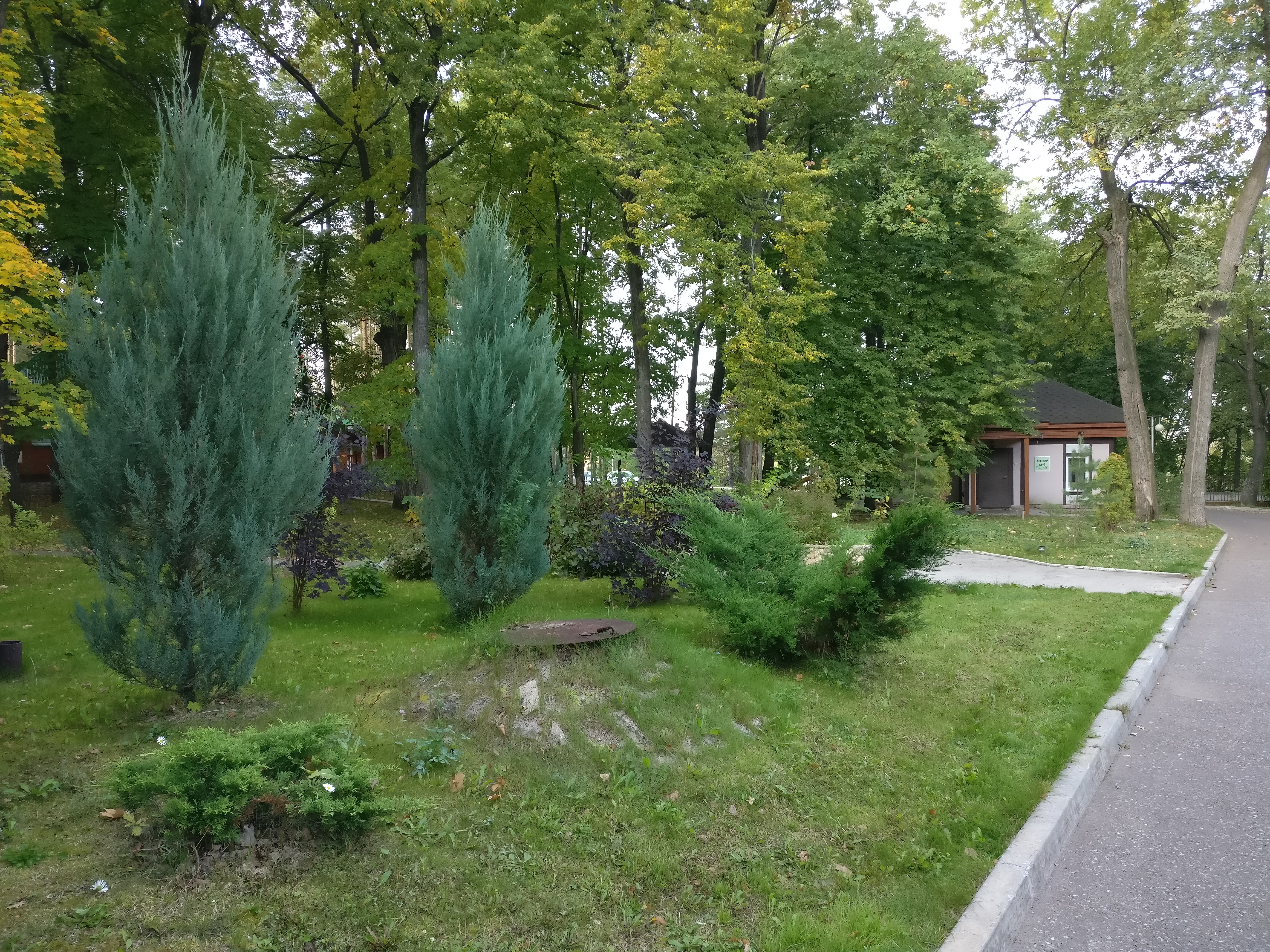 Фото Лесной