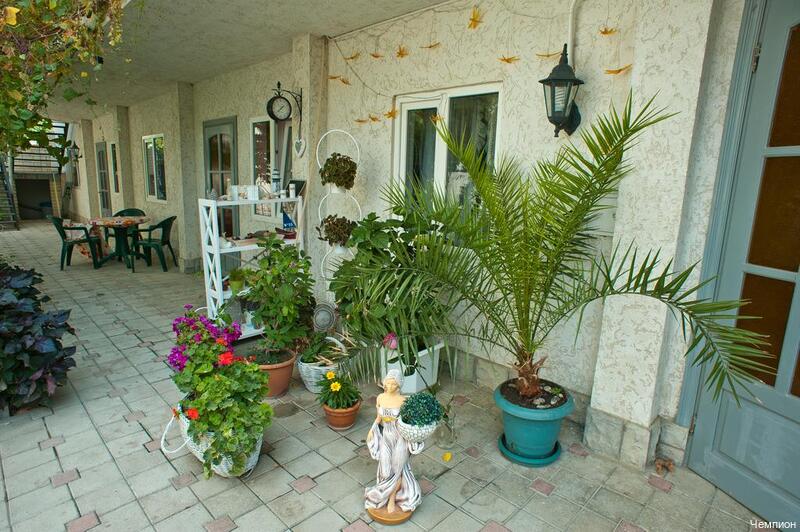 Фото Чемпион