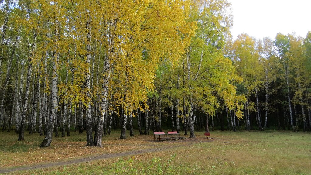 Парк Гагарина Тюмень Фото