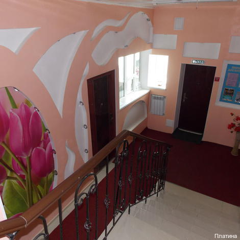 Фото Платина