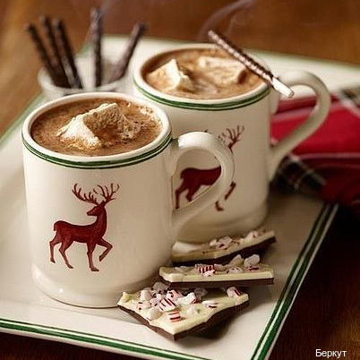 Фото Беркут