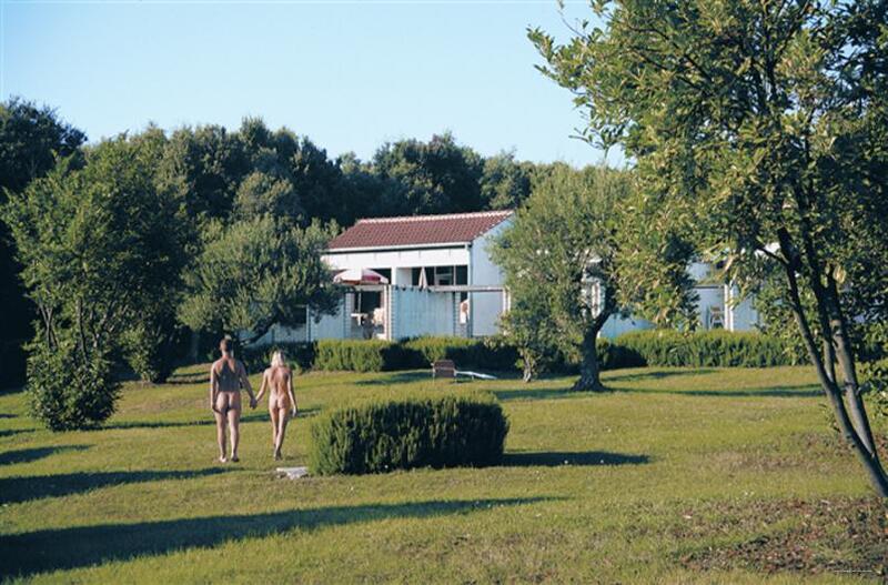 Фото Maistra Select Pineta Hotel