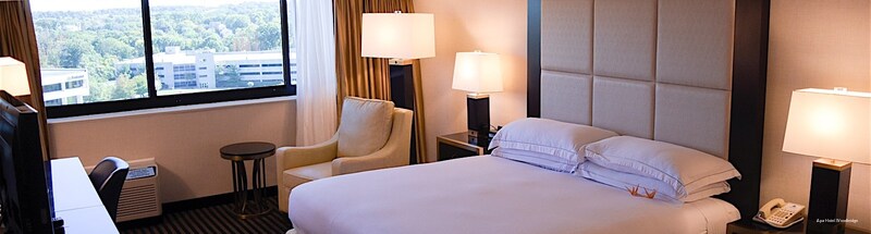 Фото Apa Hotel Woodbridge