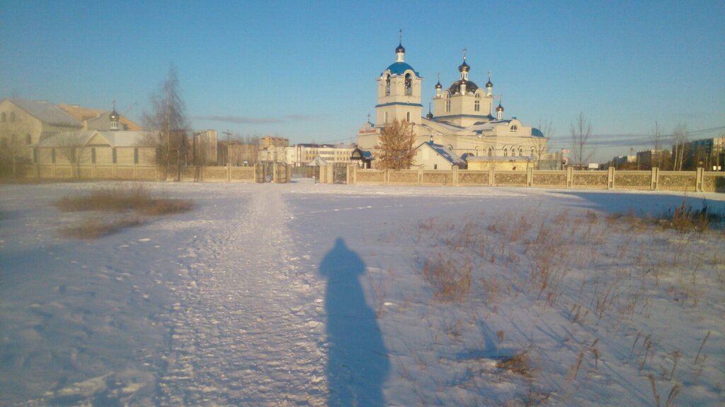 Православный храм Церковь Николая Чудотворца, Ульяновск, фото