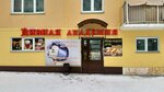 Мир сыров (ulitsa Viktora Shevelyova, 22), grocery