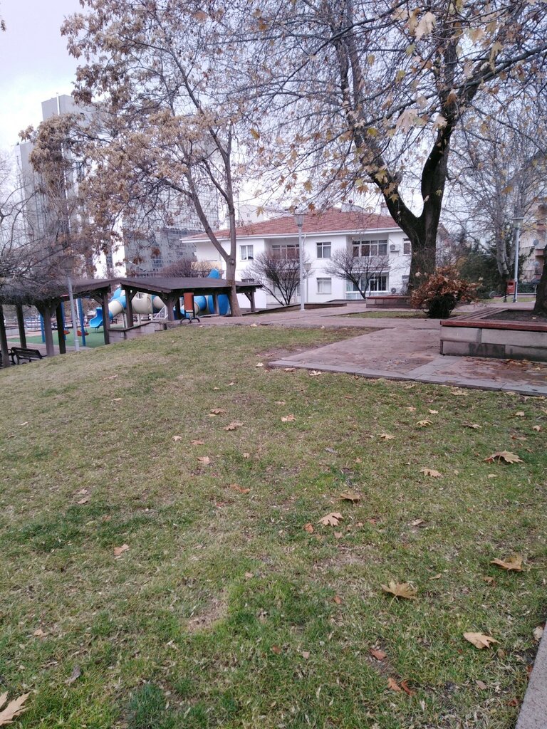 Urban forest Desiyap Park, Ankara, photo