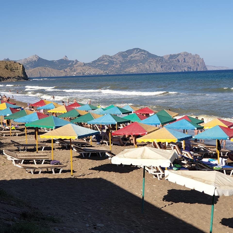 Фото Фламинго