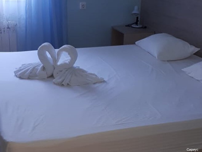 Фото Сириус