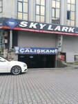 Caliskan Automotive (İstanbul, Bahçelievler, Yenibosna Merkez Mah., Meryem Ana Sok., 1A) ، ورشة لتصليح السيارات