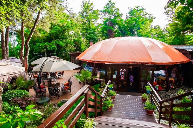 Фото Green Apple