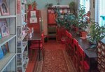 Симоновская библиотека-филиал (selo Simonovo, Molodyozhnaya ulitsa, 2), library