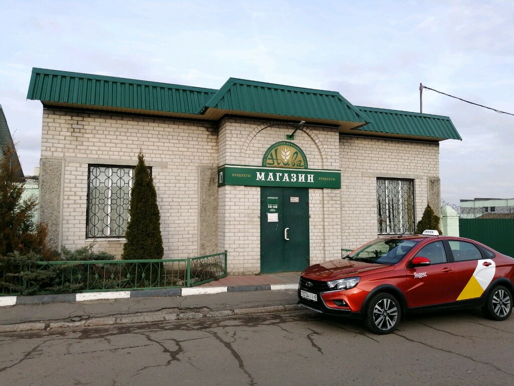 Grocery Niva magazin Zadneprovsky Mezhrayagroservis, Mogilev, photo