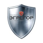 Egregor (Pervomayskaya Street, 77Х), security company