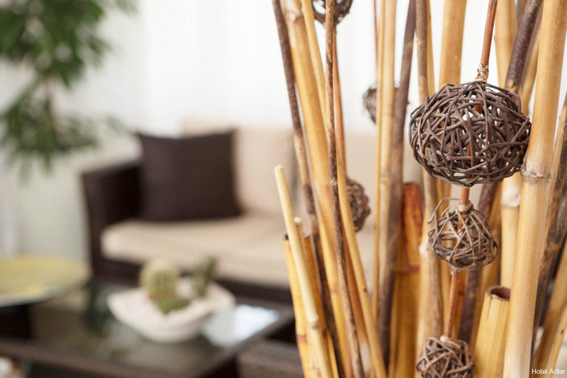 Фото Hotel Adler