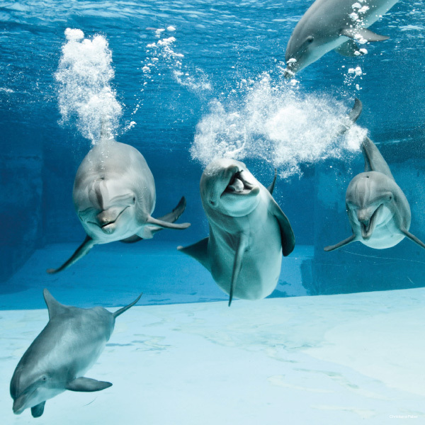 Фото Hotel Faber