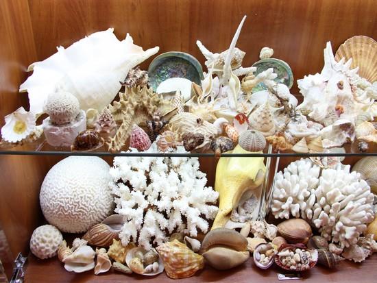 Фото Вилла Северин