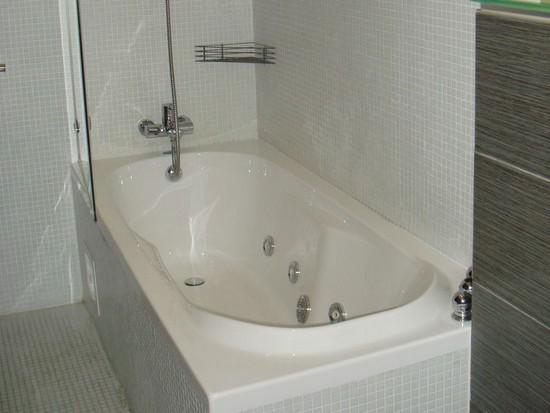 Фото Летучая мышь