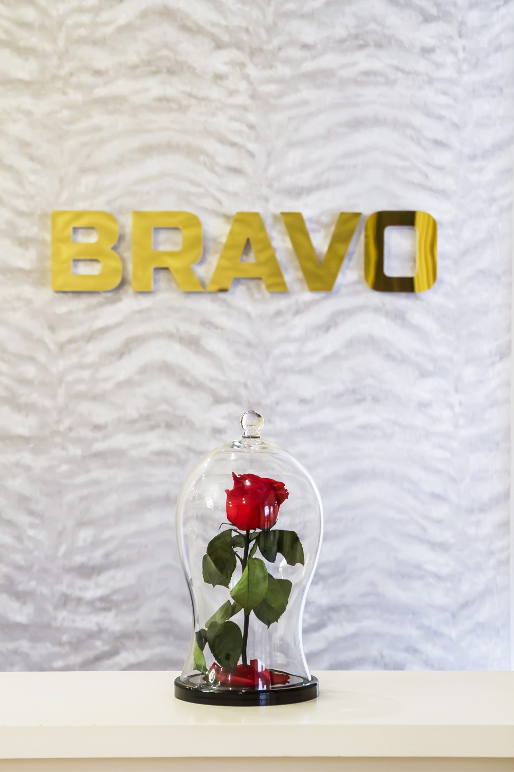 Фото Браво