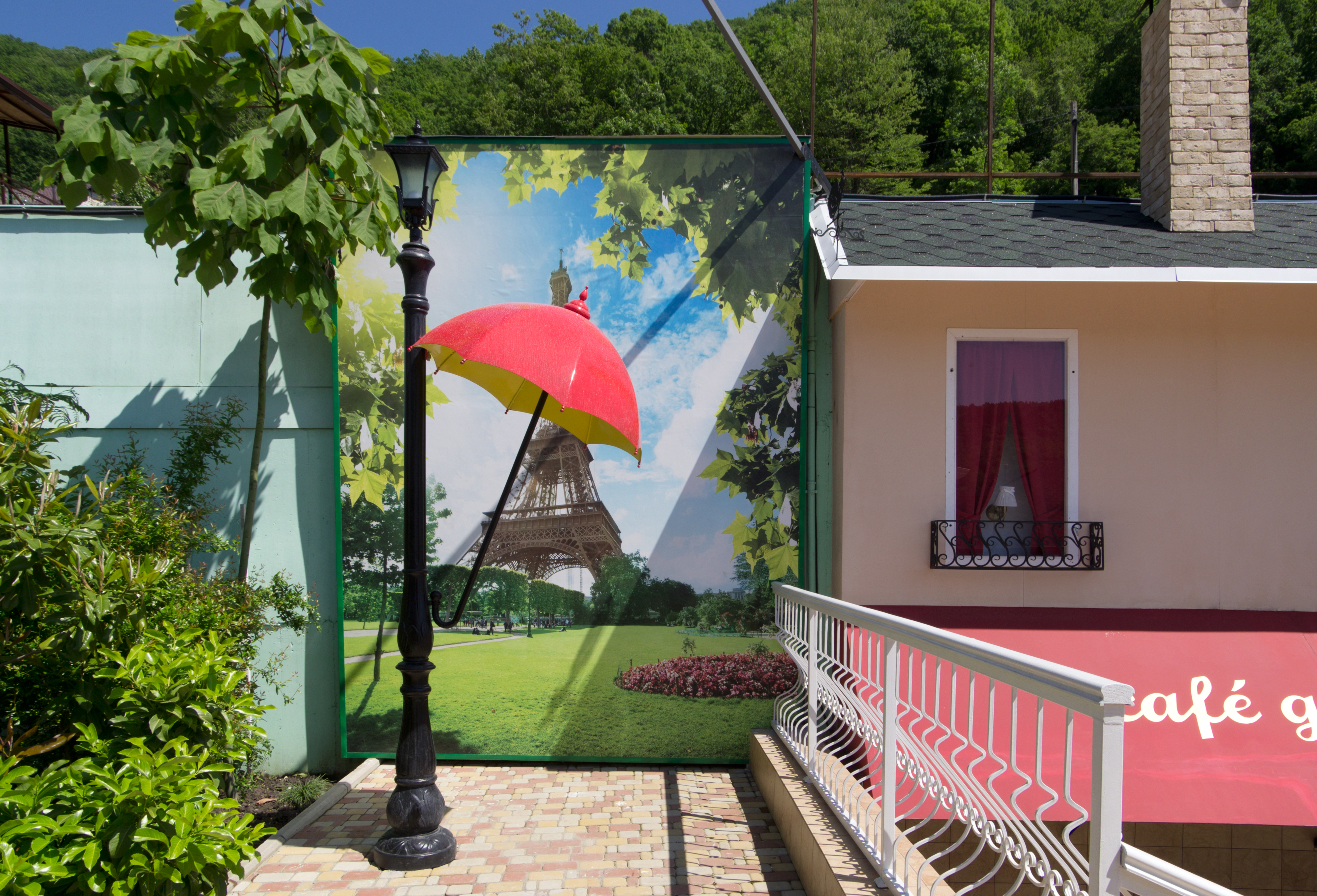 Фото Лаванда