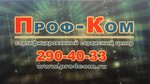 Prof-Com (Vishnevskogo Street, 12), phone repair