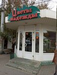 Tsvety Nadezhdy (Boyevaya Street, 51Д), flower shop