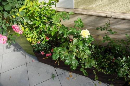 Фото Hotel Franken an der Messe