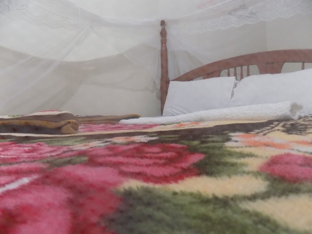 Фото R & R Gardens