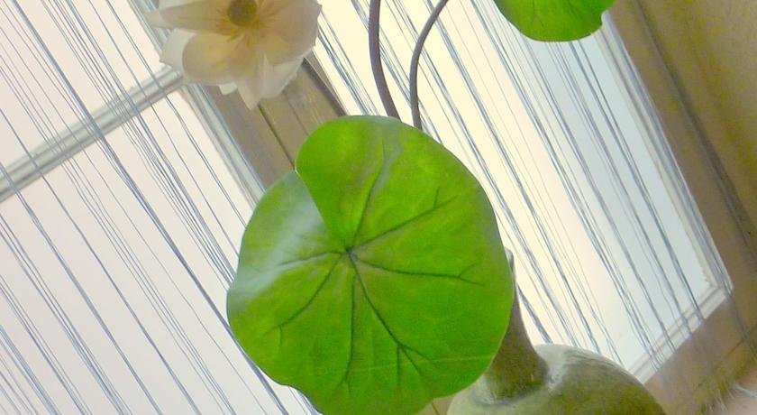 Фото Hôtel Brimer