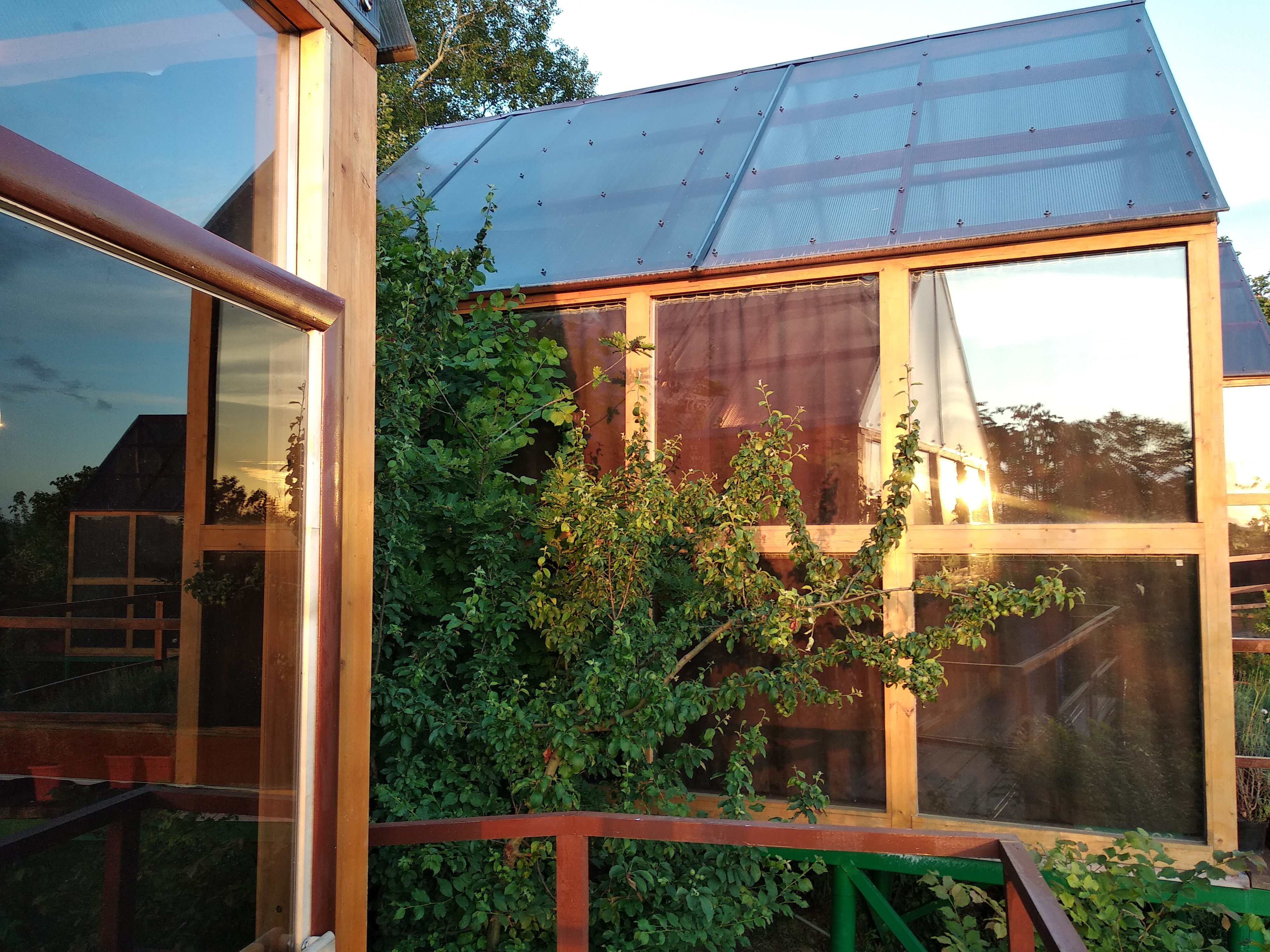 Фото Оранжереи