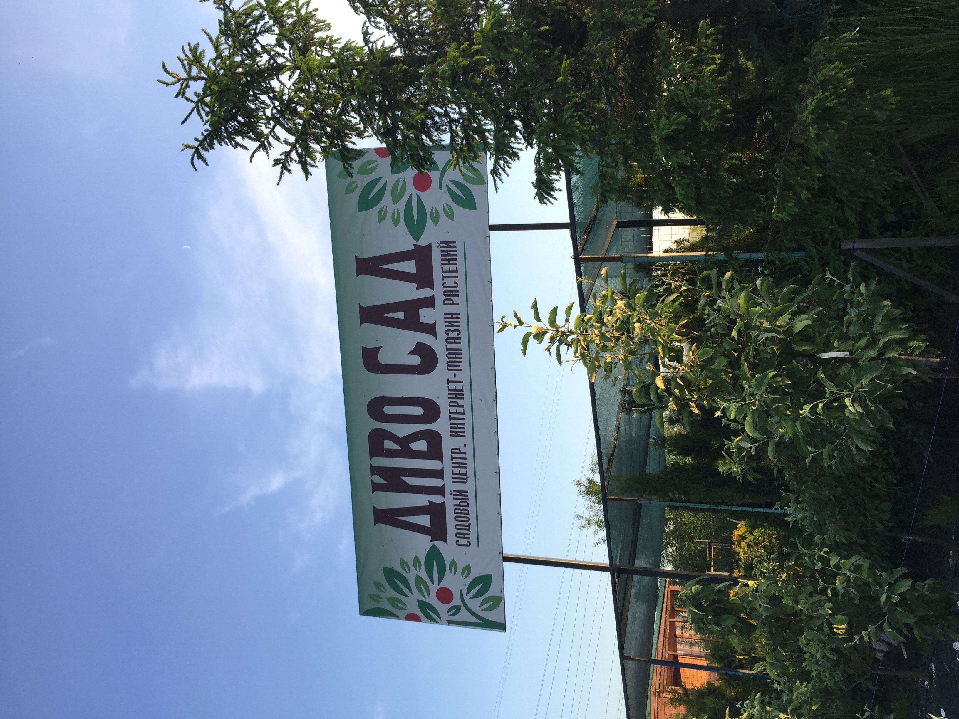 Дивосад ул кутузова 164 смоленск фото garden's center's Divo Sad in specifics, Leningrad Region, Vsevolozhckiy DIstric