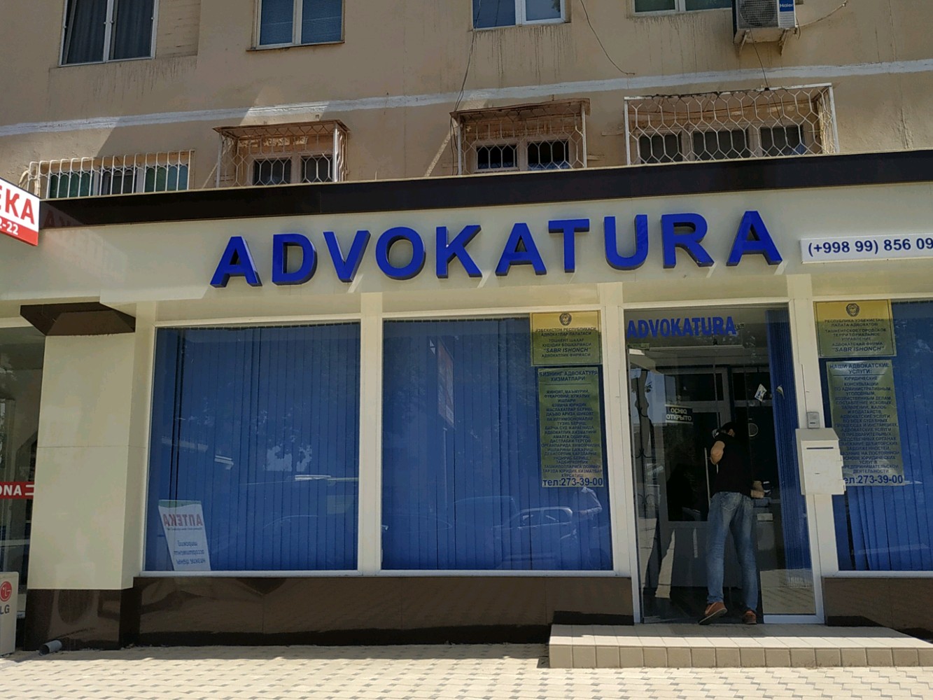 Qinni yalash videolari onlayn