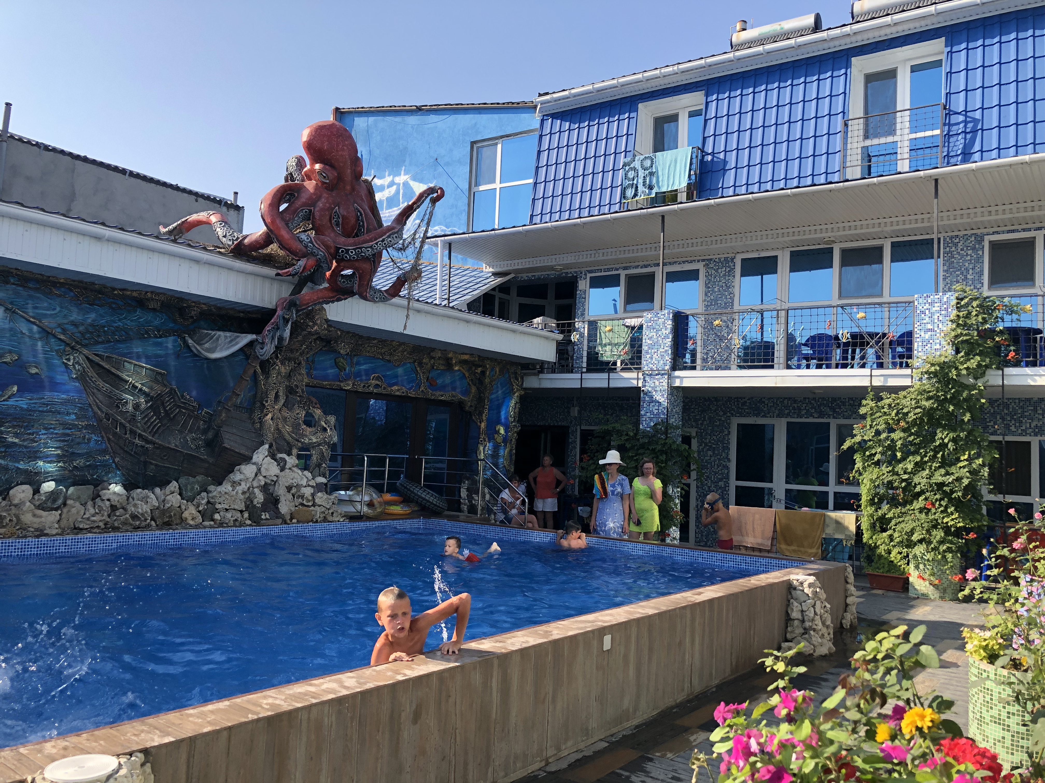 Фото Золотая рыбка